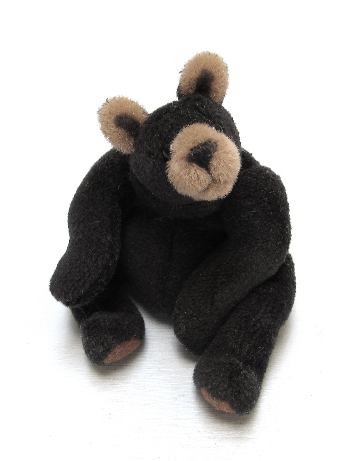 Baby Black Bear 2