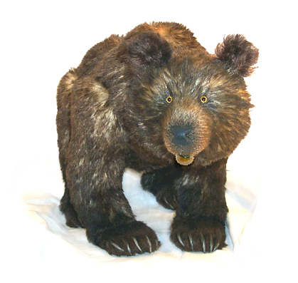 Kiam, the Grizzly Bear